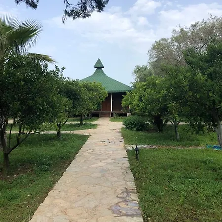 Cirali Armira Bungalow מראה חיצוני תמונה