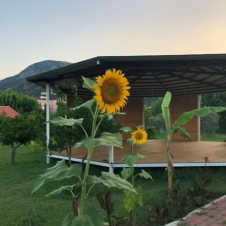 Cirali Armira Bungalow מראה חיצוני תמונה