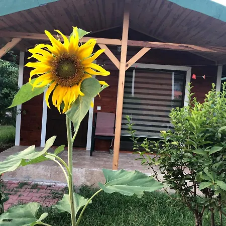 Cirali Armira Bungalow מראה חיצוני תמונה