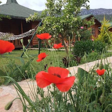 Cirali Armira Bungalow חדר תמונה