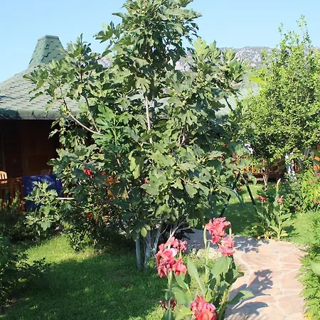 Cirali Armira Bungalow חדר תמונה
