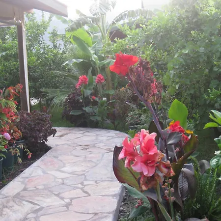 Cirali Armira Bungalow מראה חיצוני תמונה
