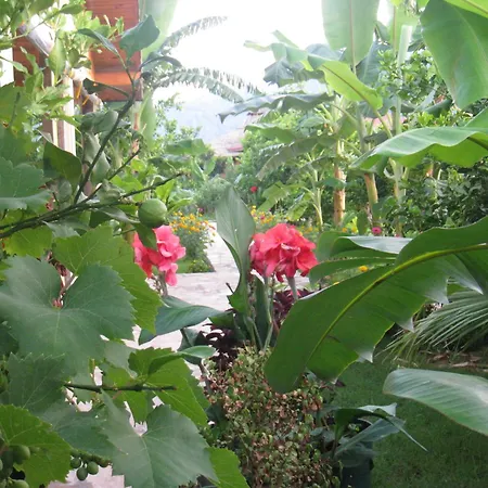 Cirali Armira Bungalow מראה חיצוני תמונה