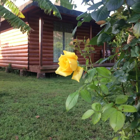 Cirali Armira Bungalow מראה חיצוני תמונה