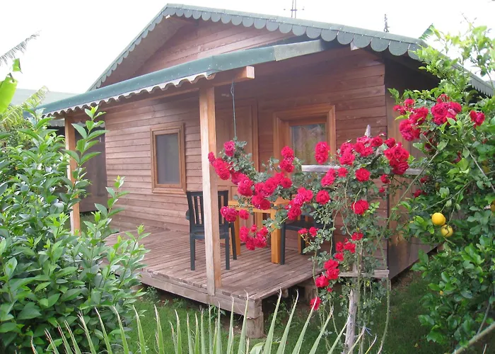 Cirali Armira Bungalow