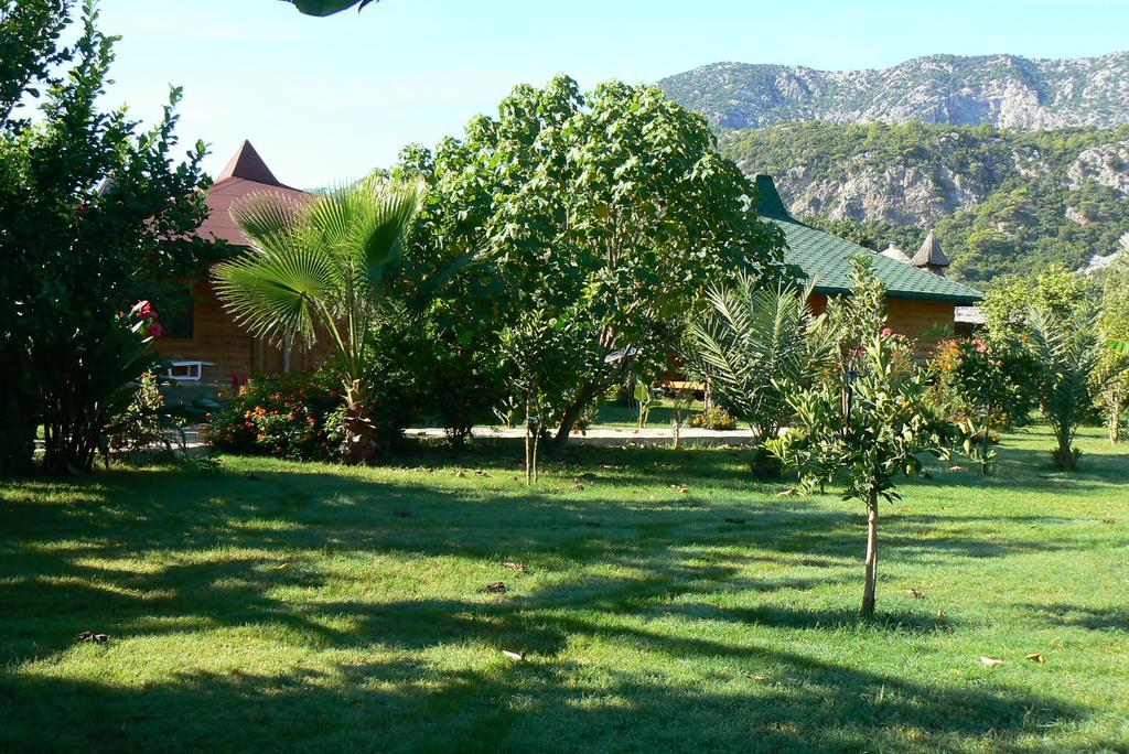 Armira Çıralı