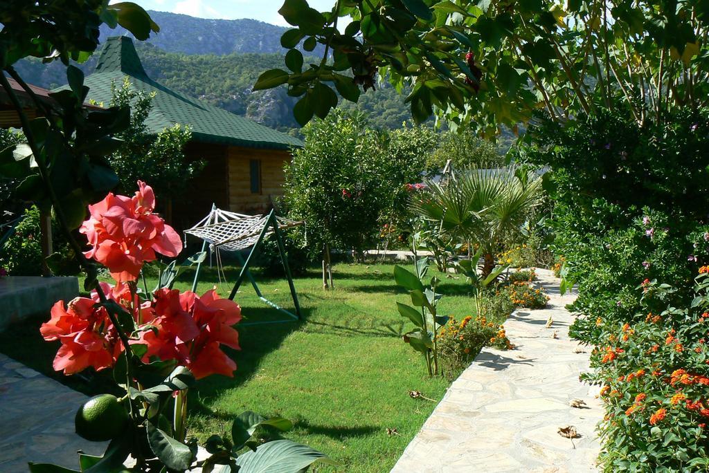 Armira Çıralı