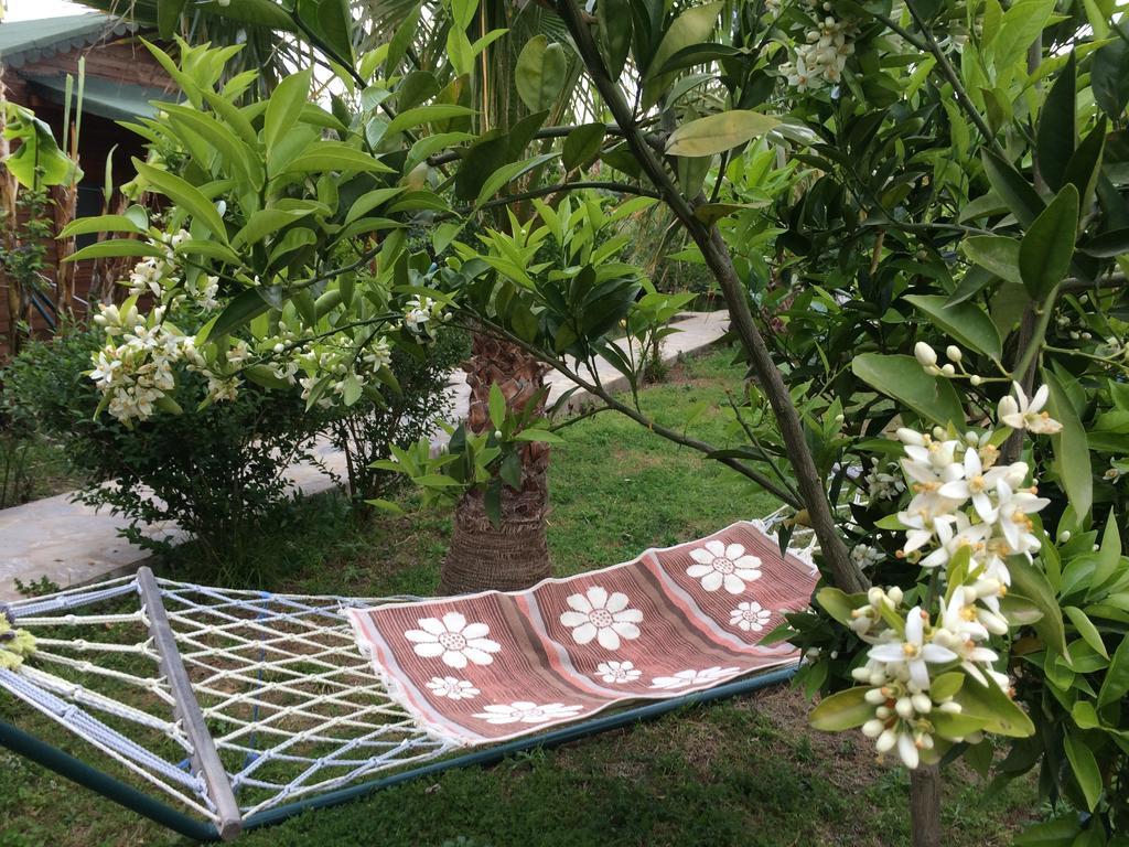 Armira Ferienpark Çıralı