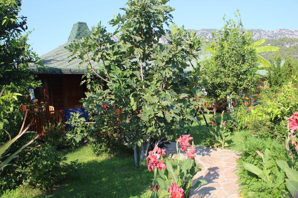 Ferienpark Armira Çıralı