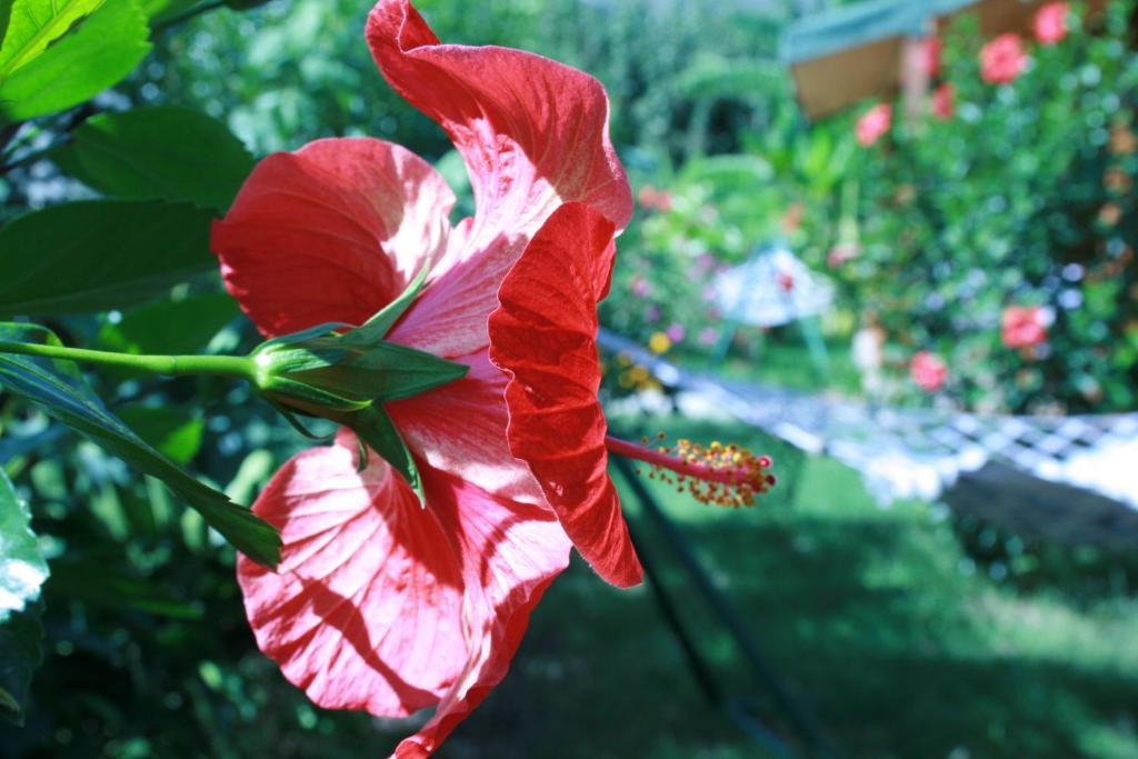 Ferienpark Armira Çıralı