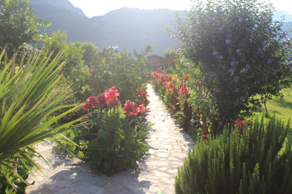 Ferienpark Armira Çıralı