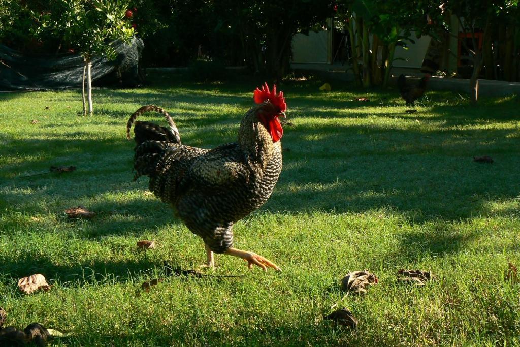 Armira Ferienpark Çıralı