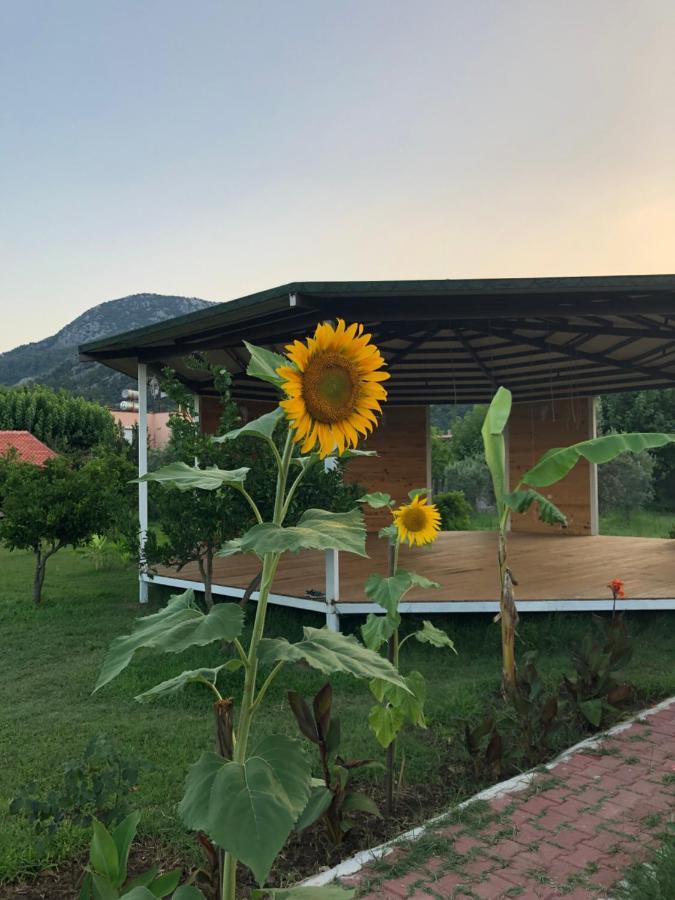 Armira Parc de vacanță