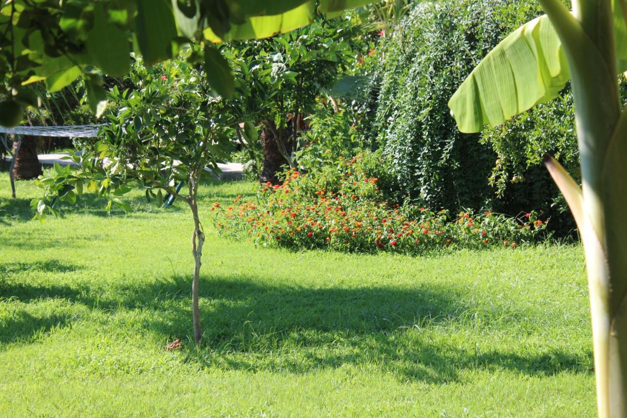 Parc de vacanță Armira
