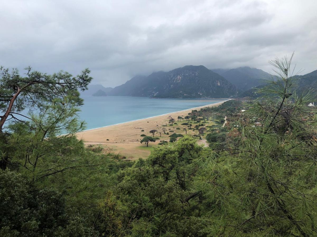Armira Parc de vacanță Çıralı